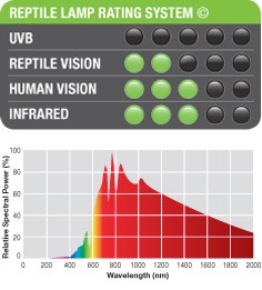 Exoterra EXO TERRA Ampoule  lumière du jour