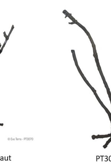 Exoterra EXO TERRA Arbre de la jungle souple