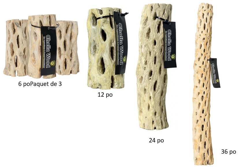 Galapagos GALAPAGOS Branche de bois cholla