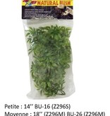 Zoomed Natural Bush™ Plants – Cannabis