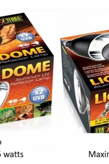 Exoterra EXO TERRA Lampe dôme