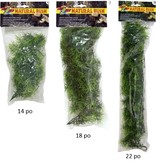 Zoomed Natural Bush™ Plants – Cashuarina