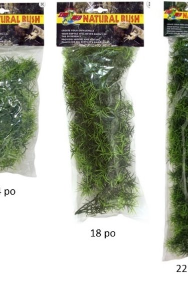 Zoomed ZOO MED Cashuarina