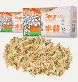 Besgrow Mousse de sphaigne Premium 150 gr - SpagMoss Premium Sphagnum Moss