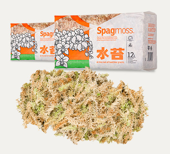 Besgrow Mousse de sphaigne Premium 150 gr - SpagMoss Premium Sphagnum Moss