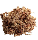 Zoomed Substrat de mousse de sphaigne New Zealand Sphagnum Moss