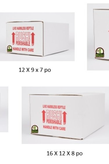 Magazoo Boîte d'expédition