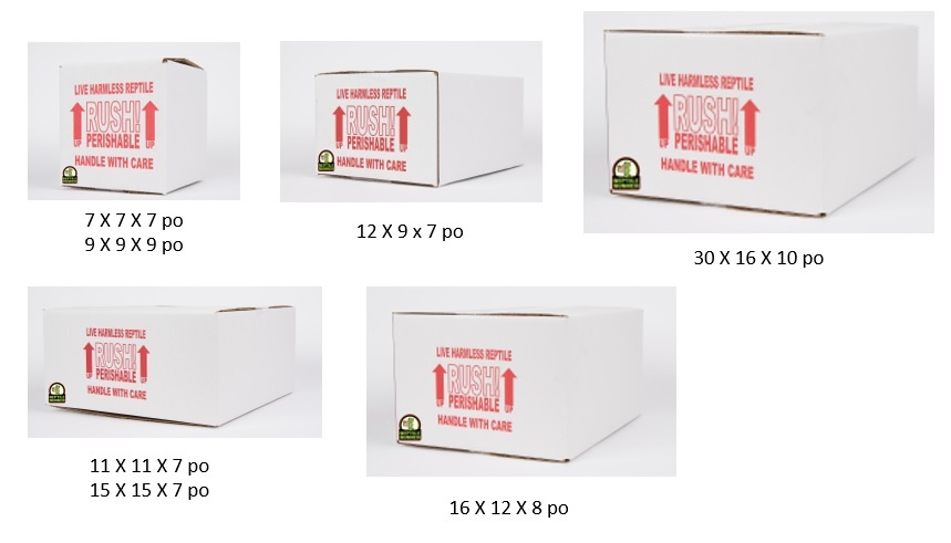 Magazoo Boîte d'expédition - shipping box