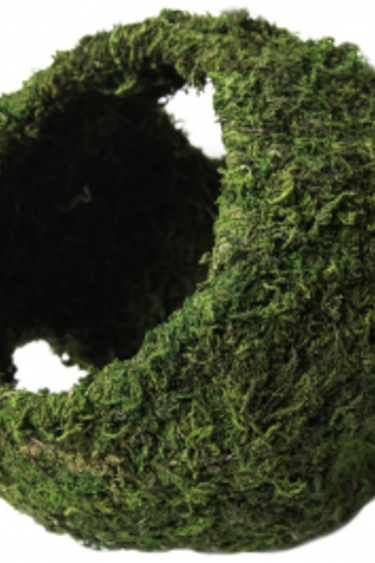 Galapagos GALAPAGOS GA-05344 Grotte mousse avec trous pour se cacher et pour l'humidité 7.25 po diamètre