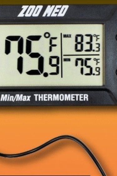 Zoomed Digital MIN-MAX Precision Thermometer