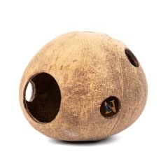 Aqua Globe Noix de coco entière - Coconut Whole