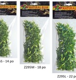 Zoomed ZOO MED Croton de Bolivie