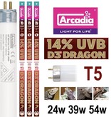 Arcadia Arcadia T5 HO Lampe pour dragon 14% UVB