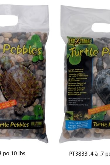 Exoterra EXO TERRA Gravier pour tortue