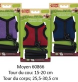 LIVING WORLD Harnais et laisse