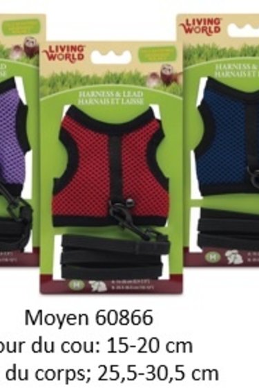 LIVING WORLD Harnais et laisse