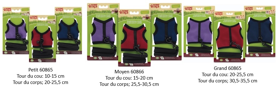 LIVING WORLD Harnais et laisse
