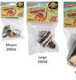 Zoomed Imitation coquillage - Bernard l'hermite - Hermit Crab Shells