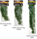 Zoomed ZOO MED Lierre du Congo