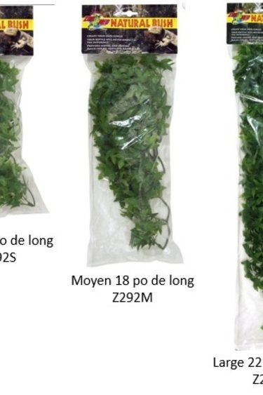 Zoomed ZOO MED Lierre du Congo