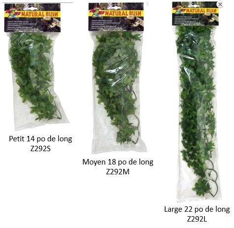 Zoo Med Natural Bush™ Plants – Congo Ivy Zoo Med Natural Bush™ Plants – Congo Ivy