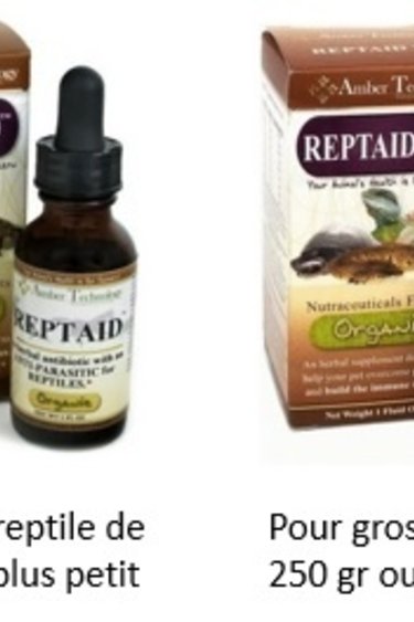 reptaid « Reptaid » Medication