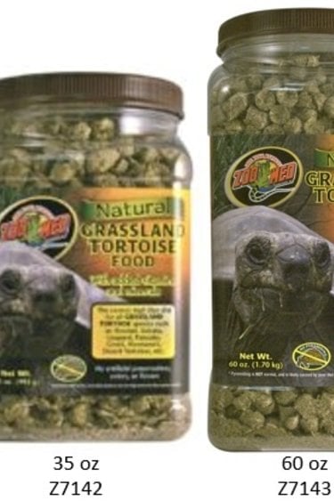 Zoomed Natural Grassland Tortoise Food