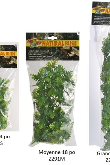 Zoomed ZOO MED Phyllo d’Amazonie