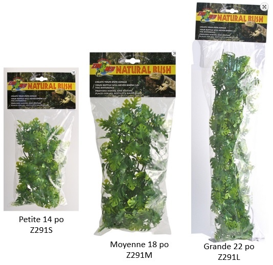 Zoomed ZOO MED Phyllo d’Amazonie