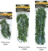 Zoomed ZOO MED Phyllo du Mexique