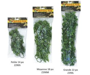 Zoo Med Natural Bush™ Plants – Mexican Phyllo Zoo Med Natural Bush™ Plants – Mexican Phyllo