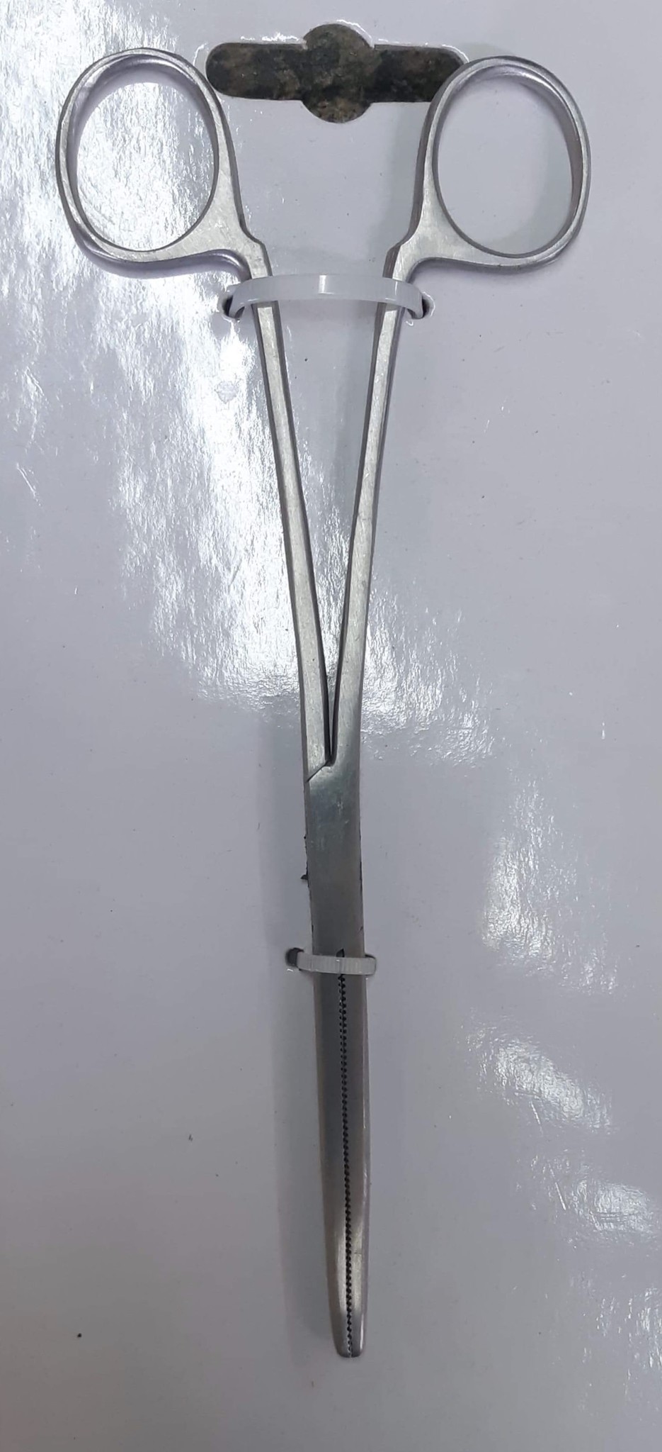 Magazoo Hemostatic forceps to feed