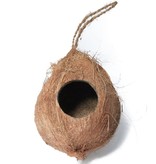 All things reptile  Hanging Coconut Reptile Hide 2 Hole