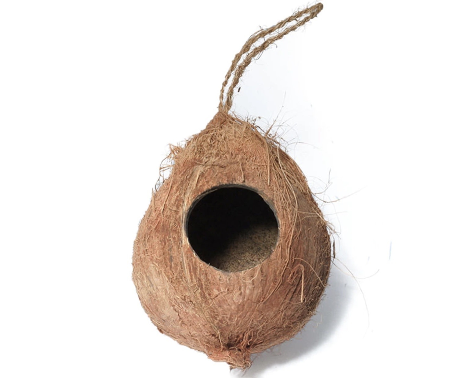 All things reptile ATR BC_1555 Cachette suspendu noix de coco à 2 trous