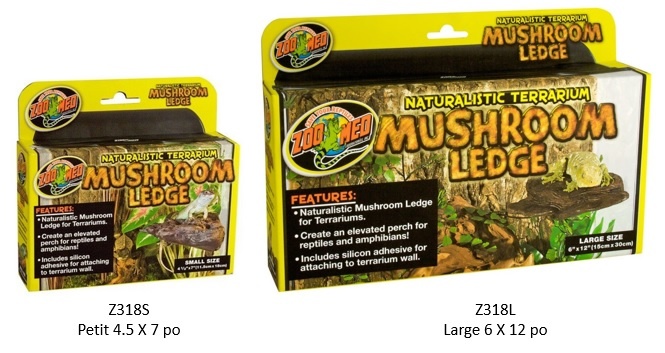 Zoomed Terrarium Mushroom Ledge