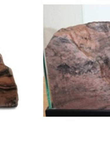 Pet-Tekk PET-TEKK Terrier