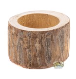 NewCal Pets NEWCAL NC-PTP3 Pot d'arbre Pauwlonia