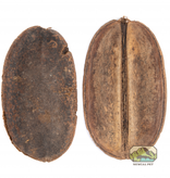 NewCal Pets NEWCAL NC-CP2 Coco Para- Pq de 2