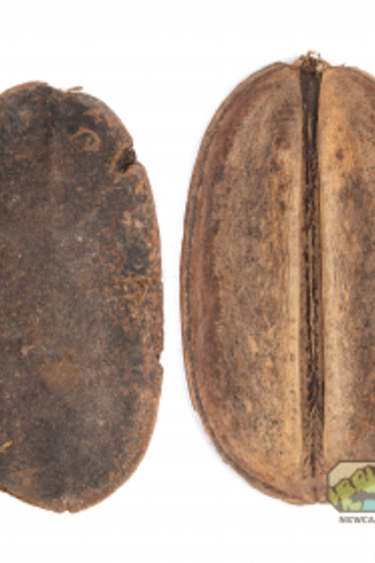 NewCal Pets NEWCAL NC-CP2 Coco Para- Pq de 2