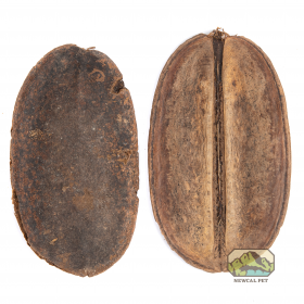 NewCal Pets NEWCAL NC-CP2 Coco Para- Pq de 2