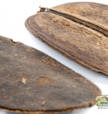 NewCal Pets NEWCAL NC-CP2 Coco Para- Pq de 2