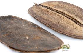 NewCal Pets NEWCAL NC-CP2 Coco Para- Pq de 2