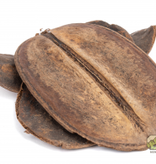 NewCal Pets NEWCAL NC-CP2 Coco Para- Pq de 2