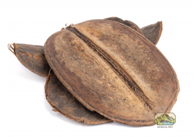 NewCal Pets NEWCAL NC-CP2 Coco Para- Pq de 2