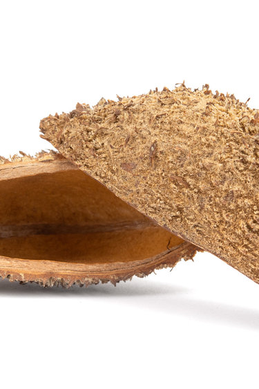 NewCal Pets NEWCAL NC-DP2 Bourse du diable - Pq de 2