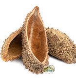 NewCal Pets NEWCAL NC-DP2 Bourse du diable - Pq de 2