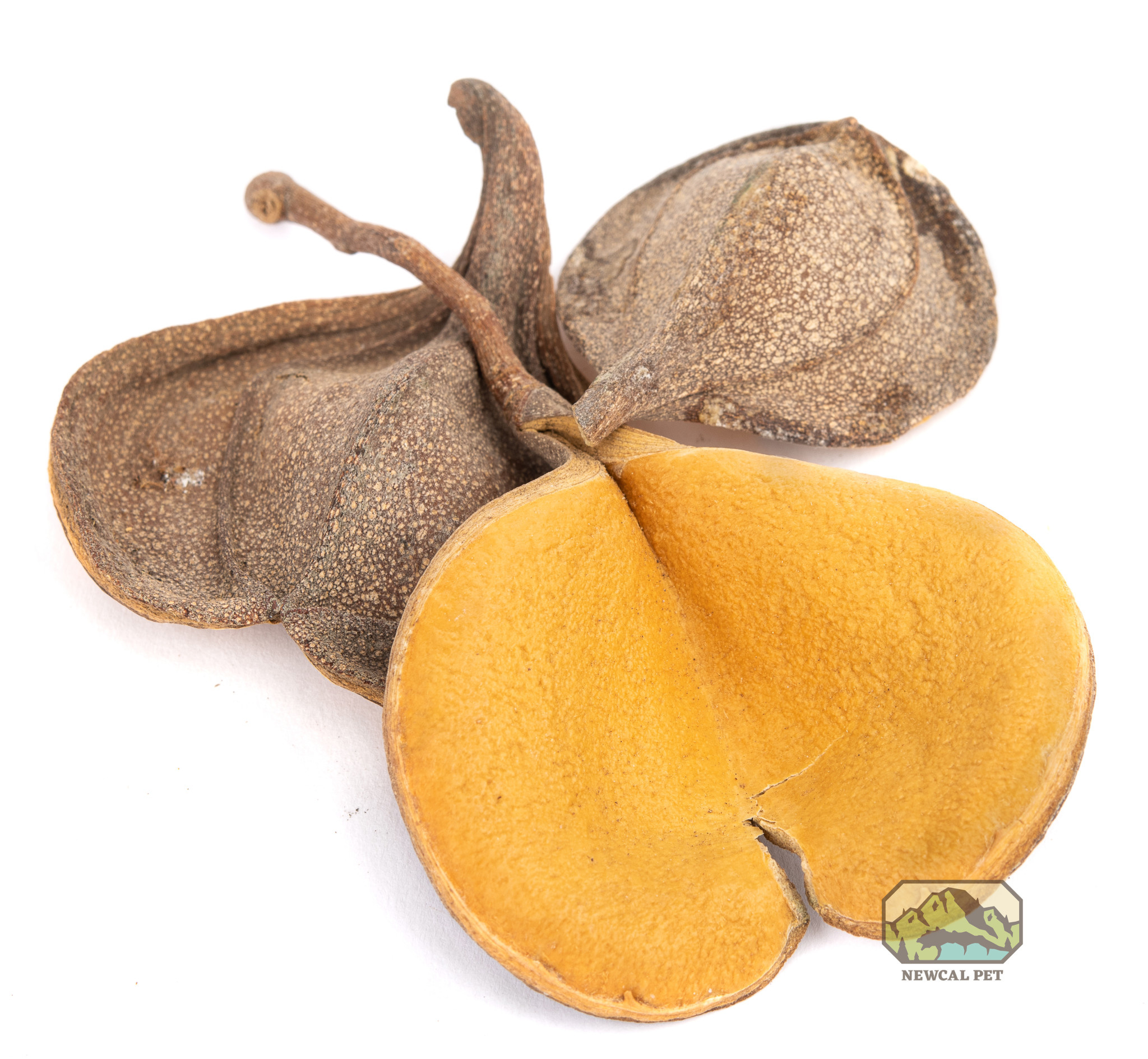 NewCal Pets NEWCAL NC-EE1 Oreille d'éléphant 1 oz