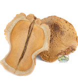 NewCal Pets NEWCAL NC-FM3 Bouche de grenouille - Pq de 3