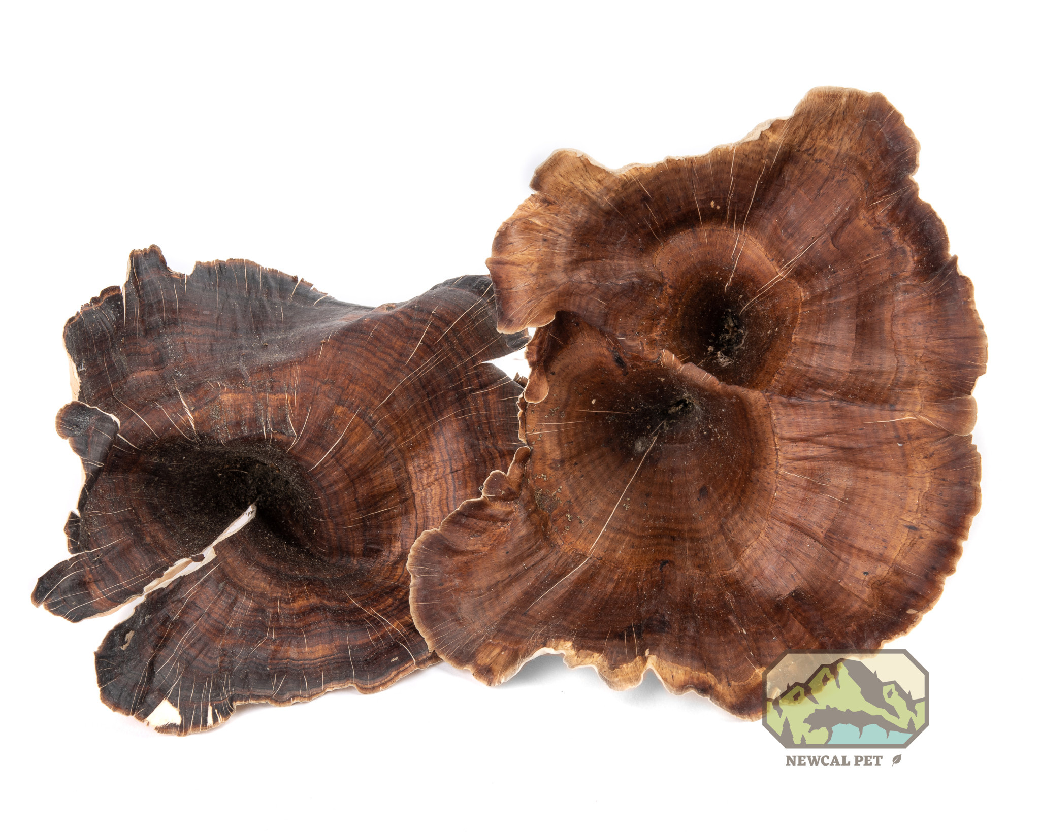 NewCal Pets NEWCAL NC-GM4P Champignon doré naturel pq de 4