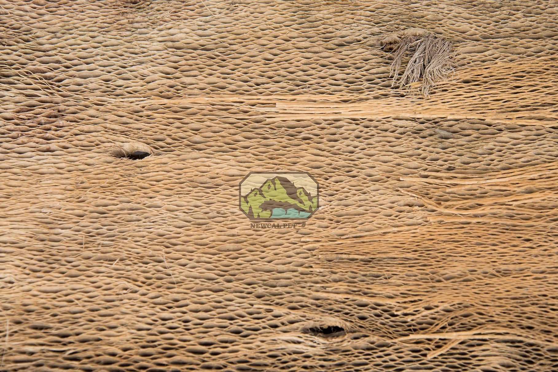 NewCal Pets NEWCAL NC-CB28 Écorce de cactus apx 15-17"